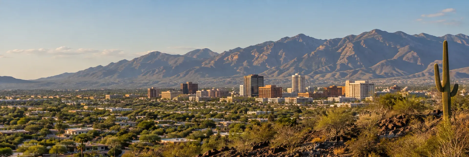 AI-generated illustration of a Tucson-inspired local view